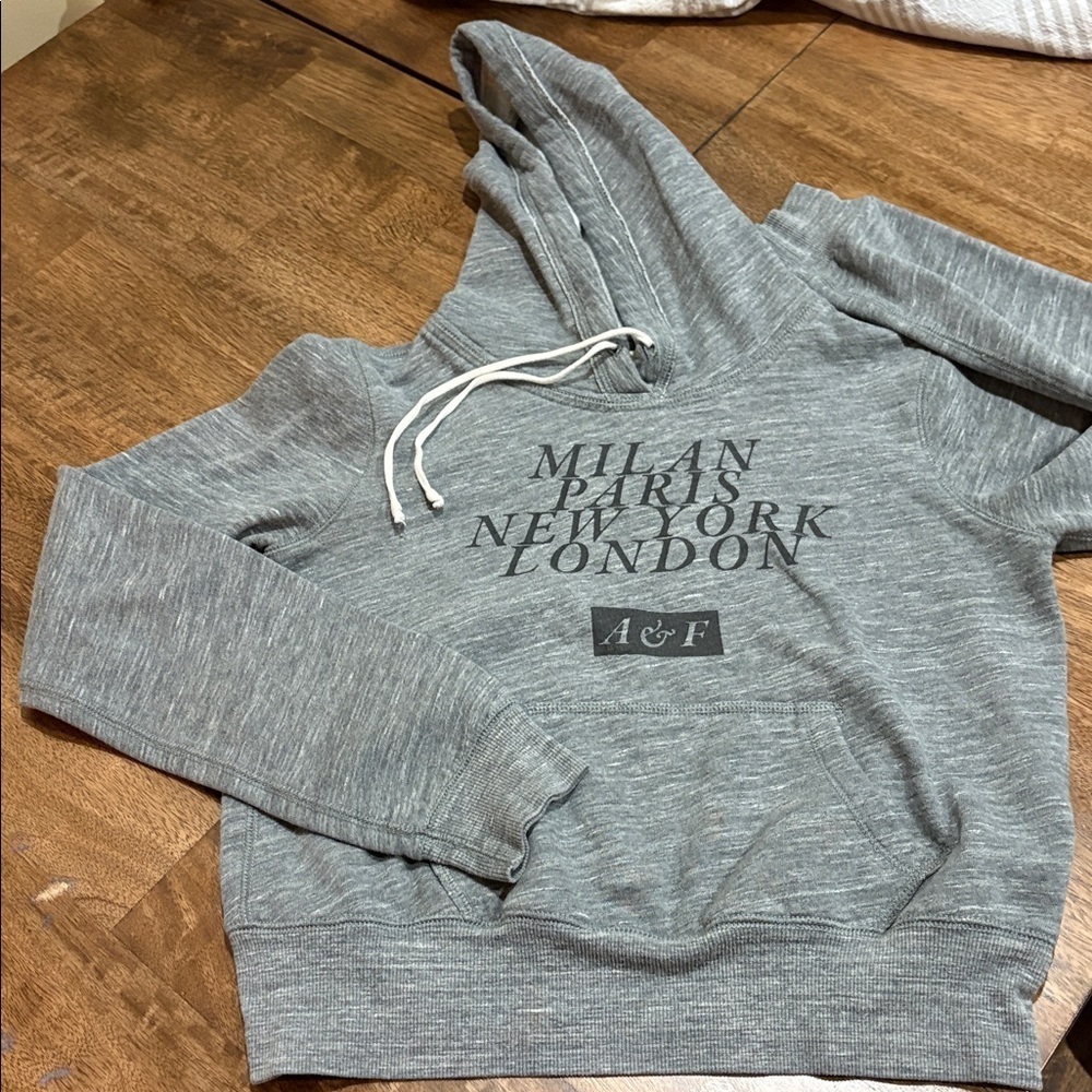Abercrombie and Fitch hoodie gray. Small.